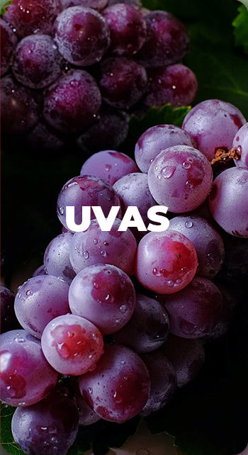 Uvas